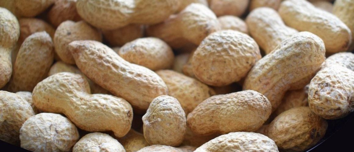 Groundnut - Carver Farms Private Limited